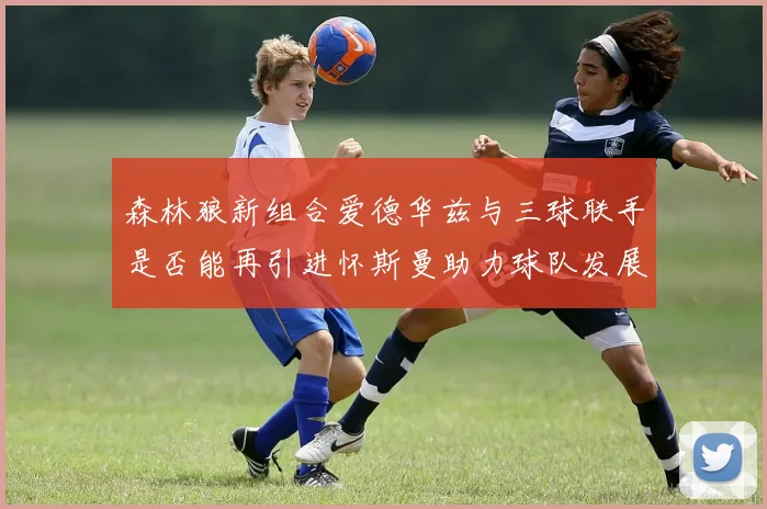 森林狼新组合爱德华兹与三球联手是否能再引进怀斯曼助力球队发展